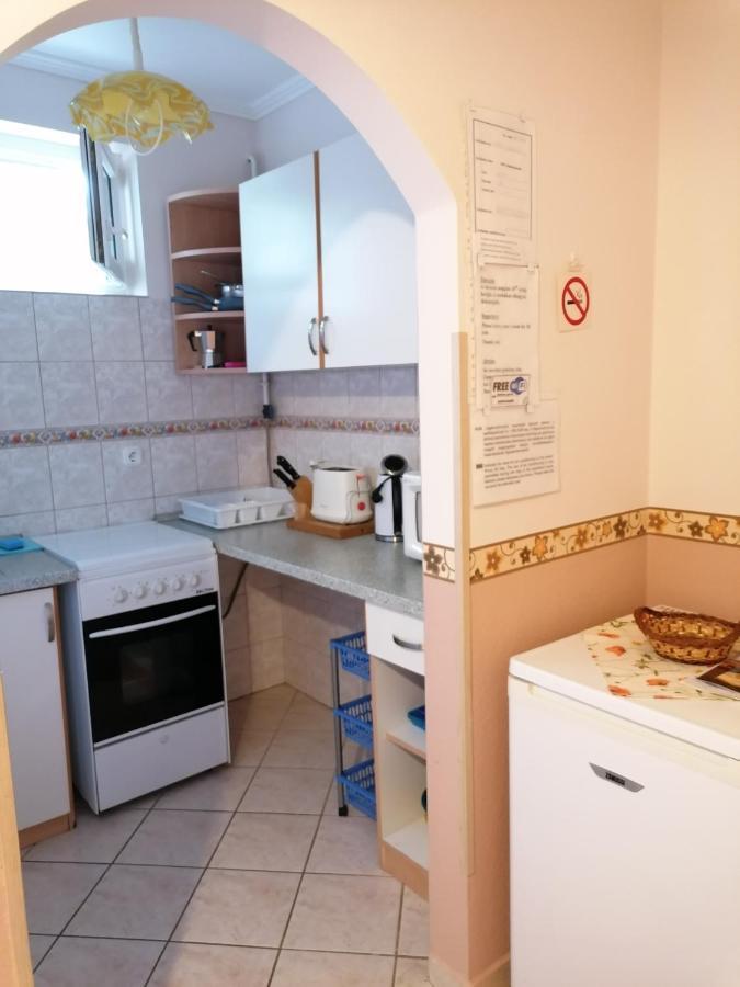 Kaktuszvirag Apartmanhaz Хайдусобосло Экстерьер фото