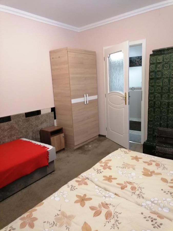 Kaktuszvirag Apartmanhaz Хайдусобосло Экстерьер фото