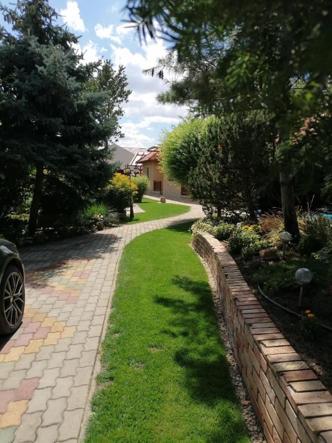 Kaktuszvirag Apartmanhaz Хайдусобосло Экстерьер фото